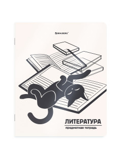 Тетрадь предметная КОТ-НЕПОСЕДА 48 л., пластиковая обложка, ЛИТЕРАТУРА, линия, подсказ, BRAUBERG, 405535