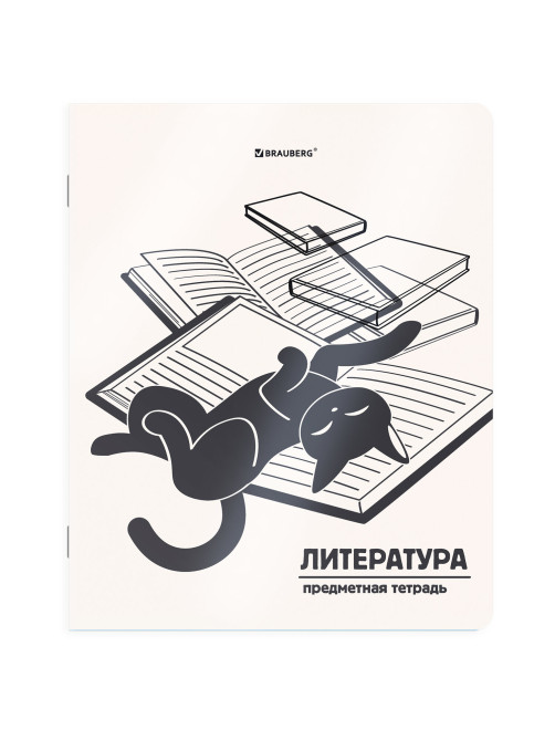 Тетрадь предметная КОТ-НЕПОСЕДА 48 л., пластиковая обложка, ЛИТЕРАТУРА, линия, подсказ, BRAUBERG, 405535