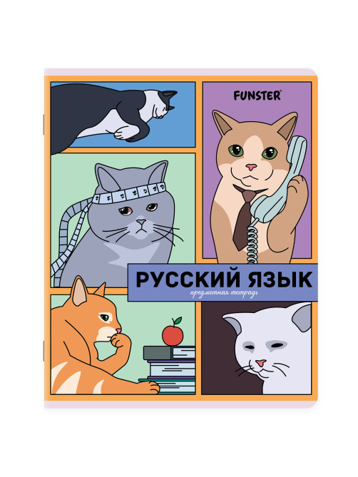 Тетради предметные, КОМПЛЕКТ 12 ПРЕДМЕТОВ, 48 л., TWIN-лак, FUNSTER (ФАНСТЕР), МЕМНЫЕ КОТЫ, 405604