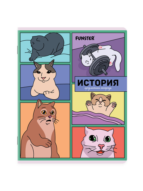 Тетради предметные, КОМПЛЕКТ 12 ПРЕДМЕТОВ, 48 л., TWIN-лак, FUNSTER (ФАНСТЕР), МЕМНЫЕ КОТЫ, 405604