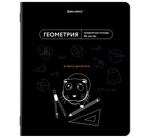 Тетрадь предметная МЕМЫ 48 л., TWIN-лак, ГЕОМЕТРИЯ, клетка, подсказки, BRAUBERG, 405101