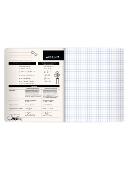Тетрадь предметная КОТ-НЕПОСЕДА 48 л., пластиковая обложка, АЛГЕБРА, клетка, подсказ, BRAUBERG, 405527