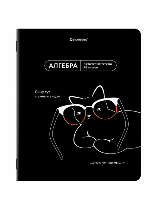 Тетради предметные, КОМПЛЕКТ 12 ПРЕДМЕТОВ, 48 л., TWIN-лак, BRAUBERG 
