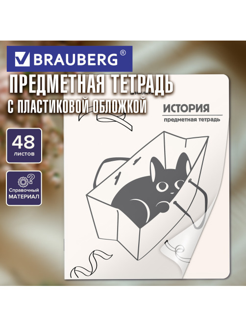 Тетрадь предметная КОТ-НЕПОСЕДА 48 л., пластиковая обложка, ИСТОРИЯ, клетка, подсказ, BRAUBERG, 405534