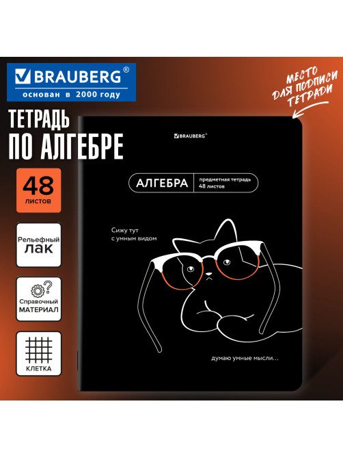 Тетрадь предметная МЕМЫ 48 л., TWIN-лак, АЛГЕБРА, клетка, подсказки, BRAUBERG, 405096