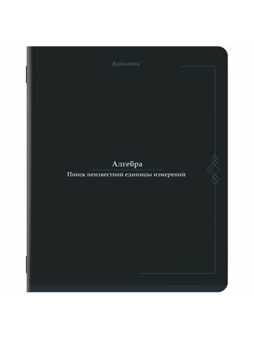 Тетради предметные, КОМПЛЕКТ 5 ПРЕДМЕТОВ, 48 л., SoftTouch, BRAUBERG 