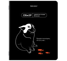 Тетрадь предметная МЕМЫ 48 л., TWIN-лак, ОБиЗР, клетка, подсказки, BRAUBERG, 405108