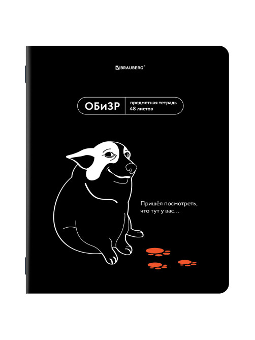 Тетрадь предметная МЕМЫ 48 л., TWIN-лак, ОБиЗР, клетка, подсказки, BRAUBERG, 405108