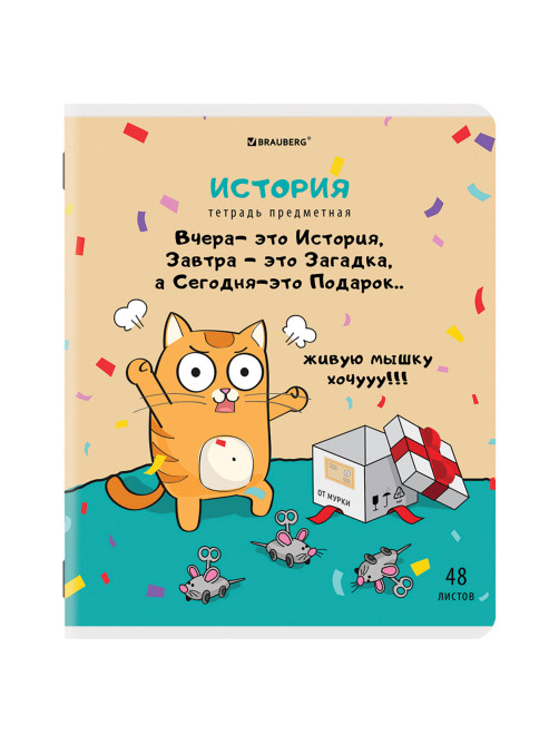 Тетради предметные, КОМПЛЕКТ 12 ПРЕДМЕТОВ, 48 л., TWIN-лак, BRAUBERG, 