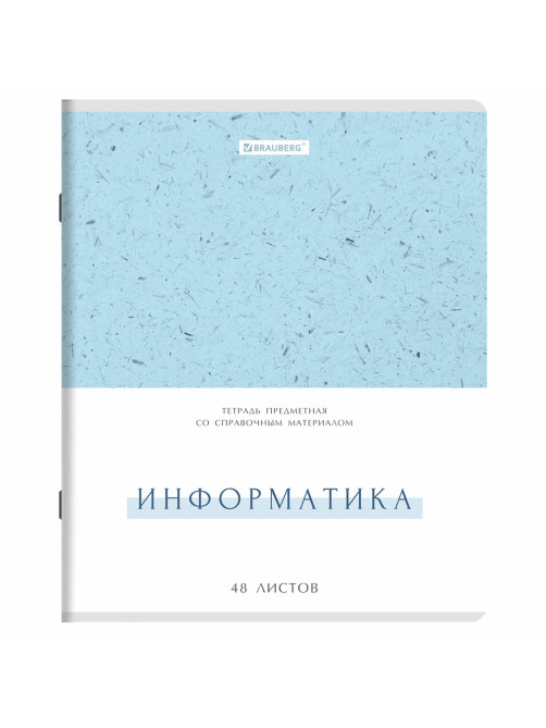 Тетради предметные, КОМПЛЕКТ 12 ПРЕДМЕТОВ, 48 л., обложка картон, BRAUBERG 
