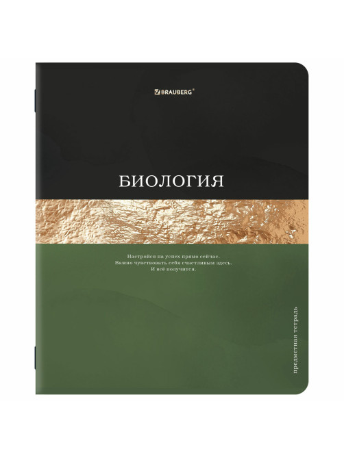 Тетради предметные, КОМПЛЕКТ 12 ПРЕДМЕТОВ, 48 л., матовая ламинация, фольга, BRAUBERG 