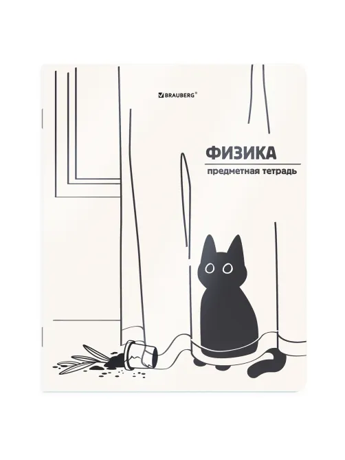 Тетрадь предметная КОТ-НЕПОСЕДА 48 л., пластиковая обложка, ФИЗИКА, клетка, подсказ, BRAUBERG, 405537