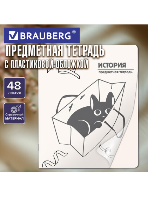Тетрадь предметная КОТ-НЕПОСЕДА 48 л., пластиковая обложка, ИСТОРИЯ, клетка, подсказ, BRAUBERG, 405534