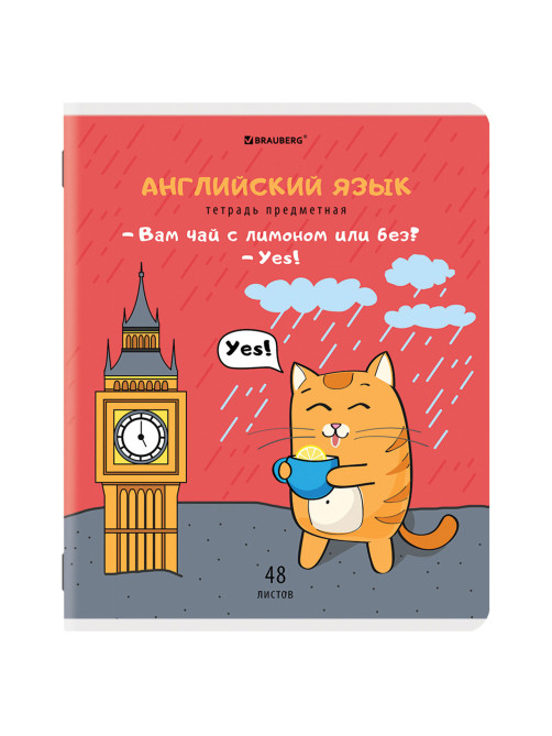 Тетради предметные, КОМПЛЕКТ 12 ПРЕДМЕТОВ, 48 л., TWIN-лак, BRAUBERG, 