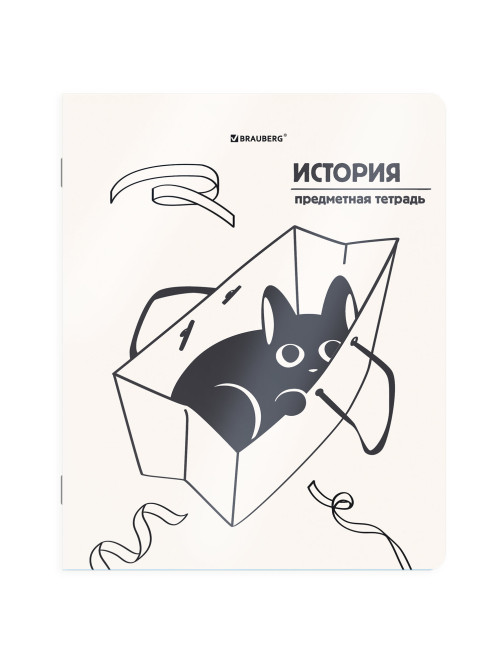 Тетрадь предметная КОТ-НЕПОСЕДА 48 л., пластиковая обложка, ИСТОРИЯ, клетка, подсказ, BRAUBERG, 405534