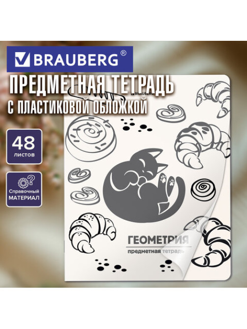 Тетрадь предметная КОТ-НЕПОСЕДА 48 л., пластиковая обложка, ГЕОМЕТРИЯ, клетка, подсказ, BRAUBERG, 405532