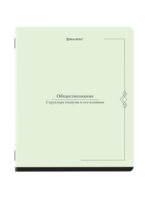 Тетради предметные, КОМПЛЕКТ 12 ПРЕДМЕТОВ, 48 л., SoftTouch, BRAUBERG 