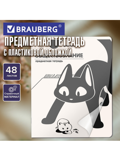 Тетрадь предметная КОТ-НЕПОСЕДА 48 л., пластиковая обложка, ОБЩЕСТВОЗНАНИЕ, клетка, подсказ, BRAUBERG, 405528