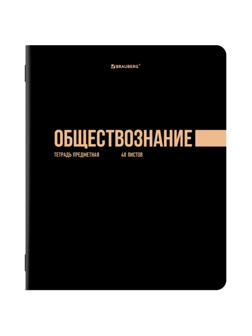 Тетради предметные, КОМПЛЕКТ 12 ПРЕДМЕТОВ, 48 л., обложка картон, BRAUBERG 
