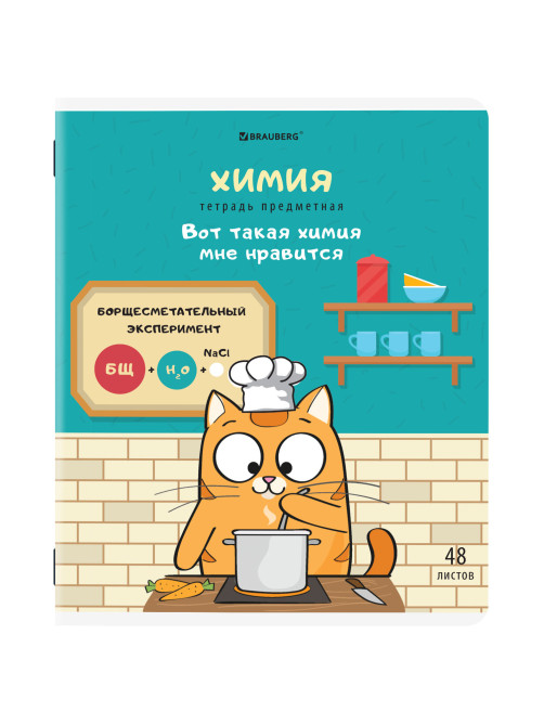 Тетради предметные, КОМПЛЕКТ 12 ПРЕДМЕТОВ, 48 л., TWIN-лак, BRAUBERG, 