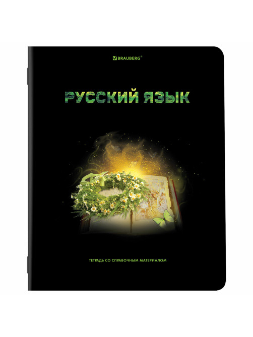 Тетради предметные, КОМПЛЕКТ 12 ПРЕДМЕТОВ, 48 л., глянцевый УФ-лак, BRAUBERG, 