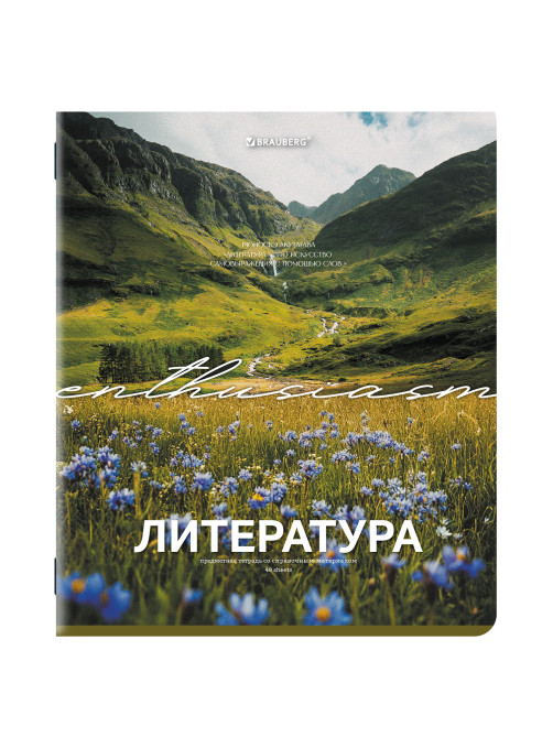Тетради предметные, КОМПЛЕКТ 13 ПРЕДМЕТОВ, 48 л., обложка картон, BRAUBERG 