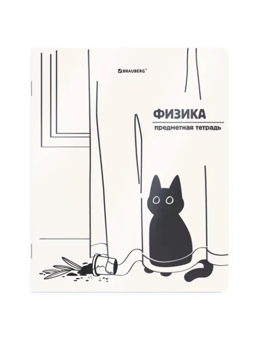 Тетрадь предметная КОТ-НЕПОСЕДА 48 л., пластиковая обложка, ФИЗИКА, клетка, подсказ, BRAUBERG, 405537