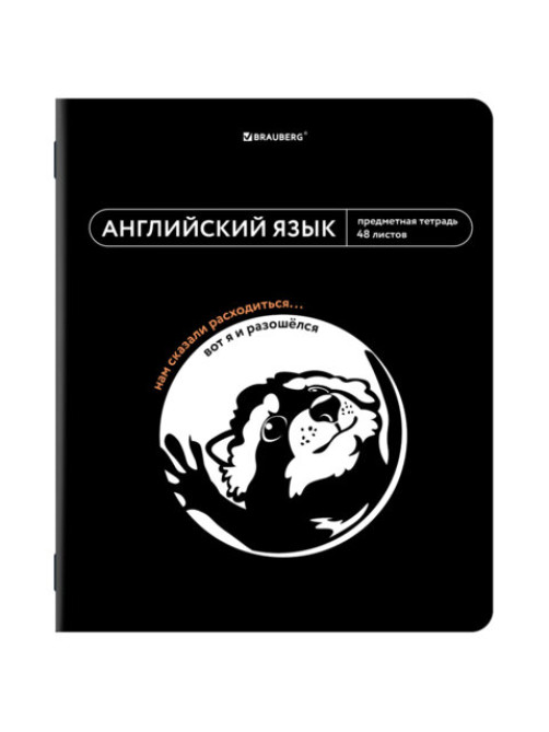 Тетрадь предметная МЕМЫ 48 л., TWIN-лак, АНГЛИЙСКИЙ ЯЗЫК, клетка, подсказки, BRAUBERG, 405098