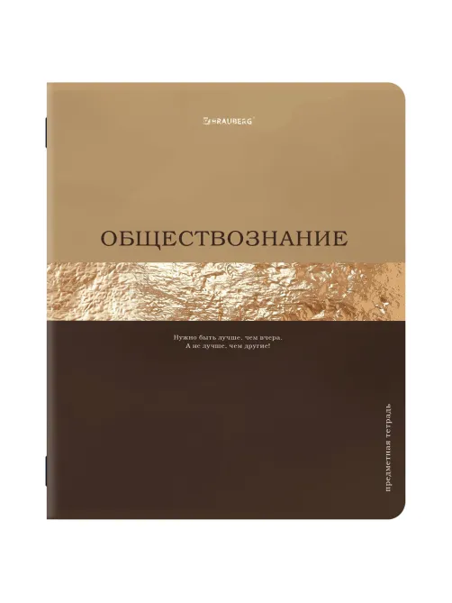 Тетради предметные, КОМПЛЕКТ 12 ПРЕДМЕТОВ, 48 л., матовая ламинация, фольга, BRAUBERG 