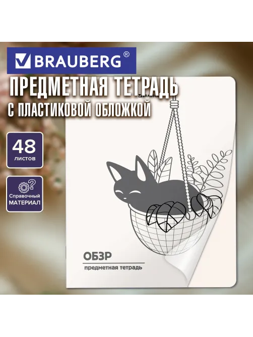 Тетрадь предметная КОТ-НЕПОСЕДА 48 л., пластиковая обложка, ОБЗР, клетка, подсказ, BRAUBERG, 405539