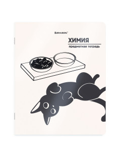 Тетрадь предметная КОТ-НЕПОСЕДА 48 л., пластиковая обложка, ХИМИЯ, клетка, подсказ, BRAUBERG, 405538