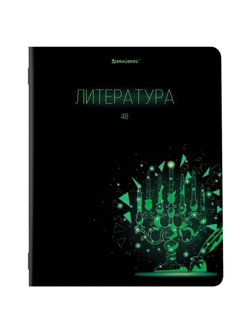 Тетради предметные, КОМПЛЕКТ 12 ПРЕДМЕТОВ, 48 листов, глянцевый УФ-лак, BRAUBERG, 