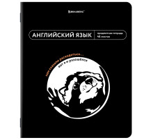 Тетрадь предметная МЕМЫ 48 л., TWIN-лак, АНГЛИЙСКИЙ ЯЗЫК, клетка, подсказки, BRAUBERG, 405098