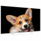 Телевизор TOPDEVICE TDTV50CS03U_WE, 50'' (126 см), 3840x2160, 4K, 16:9, YaOS, Wi-Fi, Bluetooth, белый