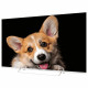 Телевизор TOPDEVICE TDTV50CS03U_WE, 50'' (126 см), 3840x2160, 4K, 16:9, YaOS, Wi-Fi, Bluetooth, белый