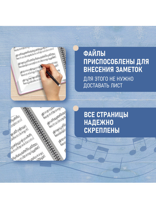 Папка-тетрадь для нот А4, 20 вкладышей на 40 страниц, на гребне, пластик, РОЗОВАЯ, BRAUBERG, 404642