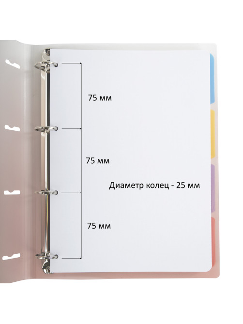 Тетрадь на кольцах БОЛЬШАЯ 305х235 мм А4, 120 л., пластик, с разделителями, BRAUBERG, Красный, 404626