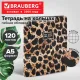 Тетрадь на кольцах А5, 175х215 мм, 120 л., под кожу, BRAUBERG VISTA, 