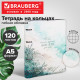Тетрадь на кольцах А5, 175х215 мм, 120 л., под кожу, BRAUBERG VISTA, 