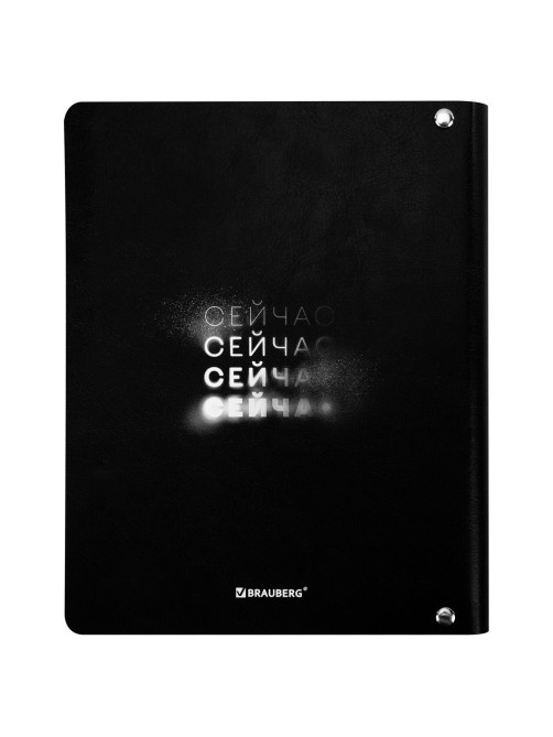 Тетрадь на кольцах А5, 175х215 мм, 120 л., под кожу, BRAUBERG VISTA, 
