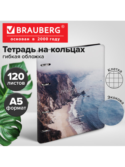 Тетрадь на кольцах А5, 175х215 мм, 120 л., под кожу, BRAUBERG VISTA, 