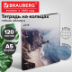 Тетрадь на кольцах А5, 175х215 мм, 120 л., под кожу, BRAUBERG VISTA, 