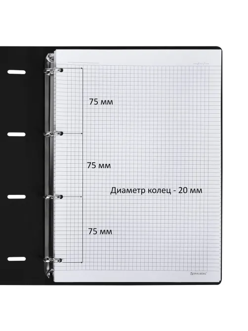 Тетрадь на кольцах БОЛЬШАЯ А4 (240х310 мм), 120 л., под кожу, BRAUBERG VISTA, Black, 404512