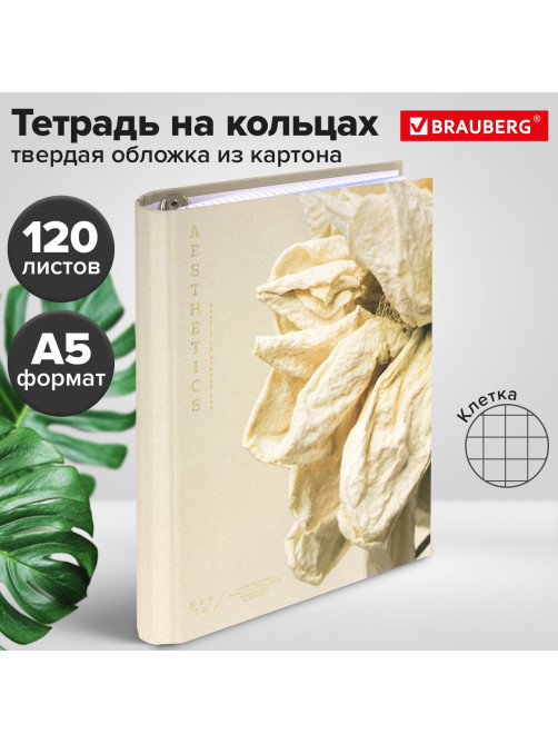 Тетрадь на кольцах А5 175х215 мм, 120 листов, твердый картон, фольга, клетка, BRAUBERG, 