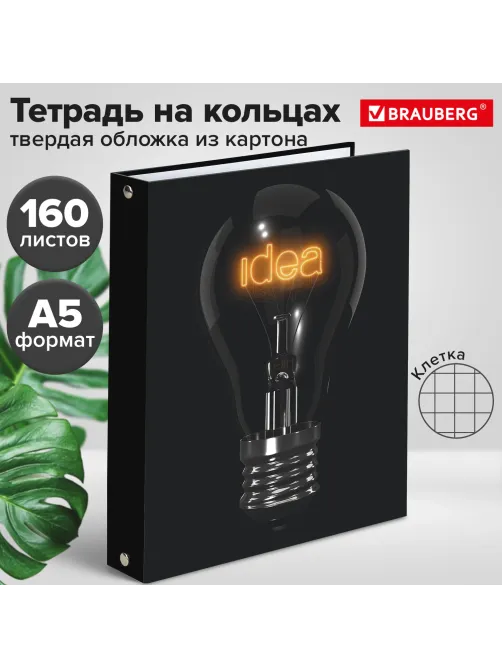 Тетрадь на кольцах А5 (175х215 мм), 160 листов, твердый картон, клетка, BRAUBERG, Idea, 404091