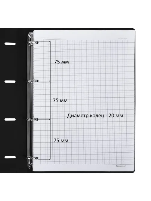 Тетрадь на кольцах БОЛЬШАЯ А4 (240х310 мм), 120 л., под кожу, BRAUBERG VISTA, 