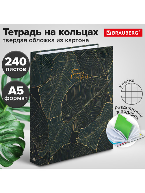 Тетрадь на кольцах А5 (175х215 мм), 240 листов, твердый картон, клетка, с разделителями, BRAUBERG, Листья, 404099