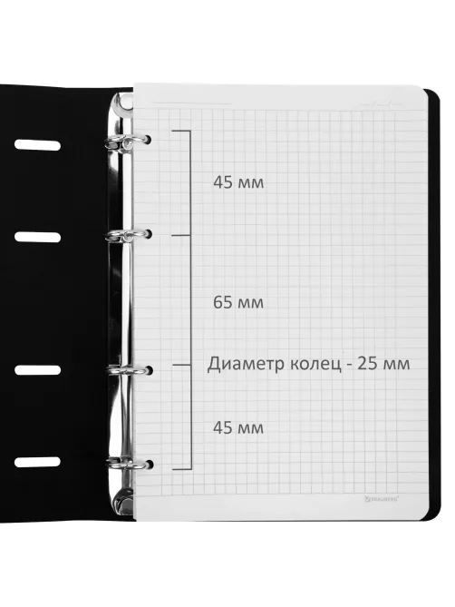 Тетрадь на кольцах А5, 175х215 мм, 120 л., под кожу, BRAUBERG VISTA, 