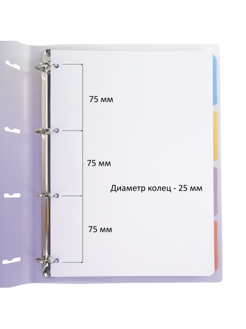 Тетрадь на кольцах БОЛЬШАЯ 305х235 мм А4, 120 л., пластик, с разделителями, BRAUBERG, Фиолетовый, 404623
