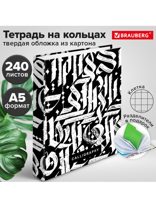 Тетрадь на кольцах А5 (175х215 мм), 240 листов, твердый картон, клетка, с разделителями, BRAUBERG, Calligraphy,404097
